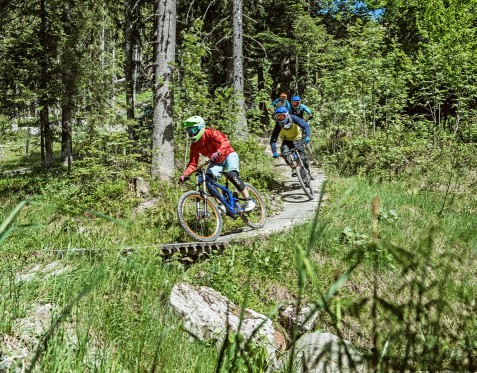 Bikepark Wagrain © Wagrain-Kleinarl Tourismus