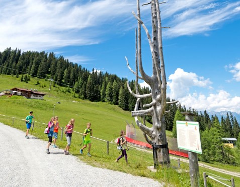 Grafenberg Sommer © Wagrain-Kleinarl Tourismus