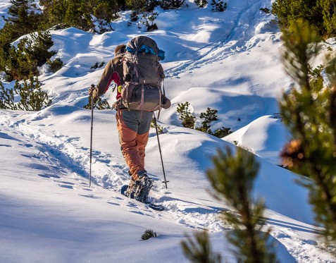 Schneeschuhwandern © shutterstock.com